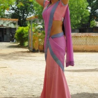 Charmi kaur In Saree - Side Poses Hot Stills
